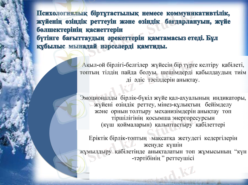 Slide 8