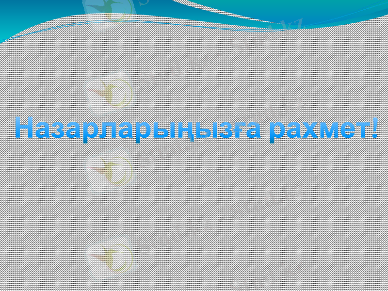 Slide 12