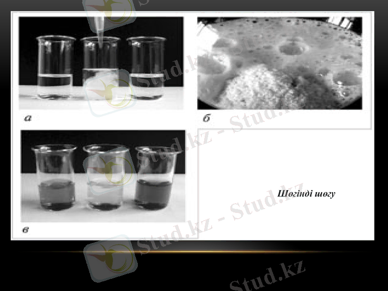 Slide 10