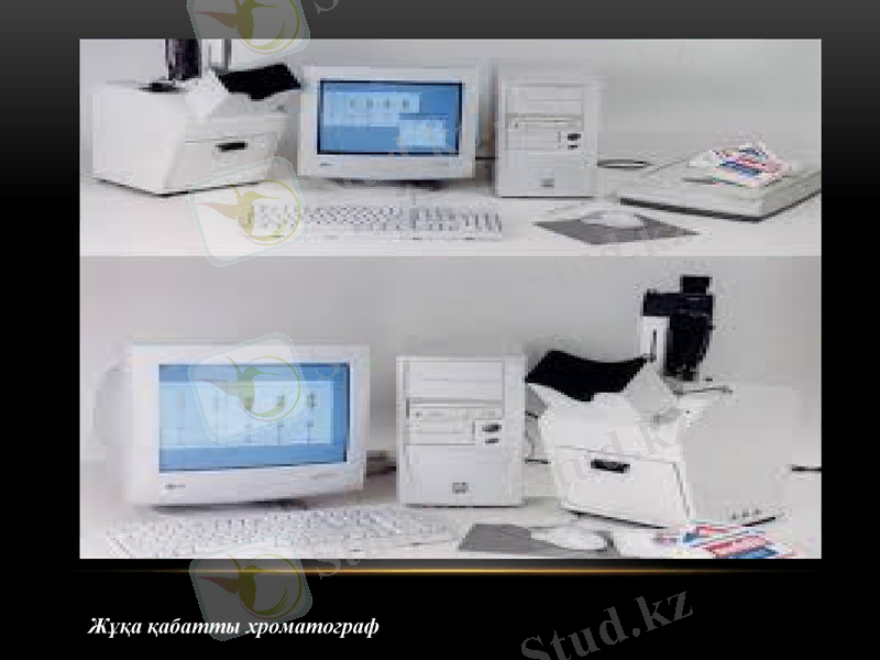 Slide 12