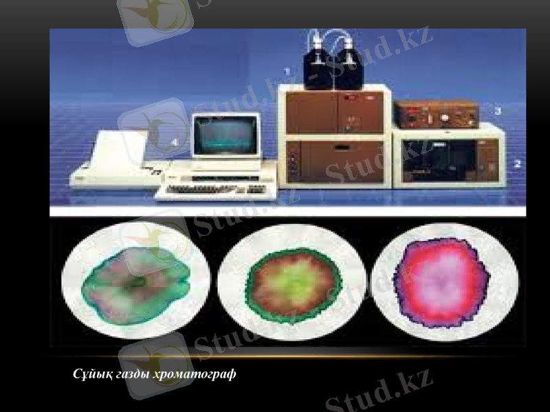 Slide 13