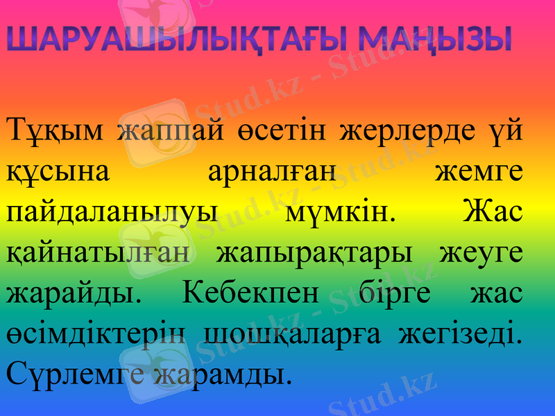 Slide 6