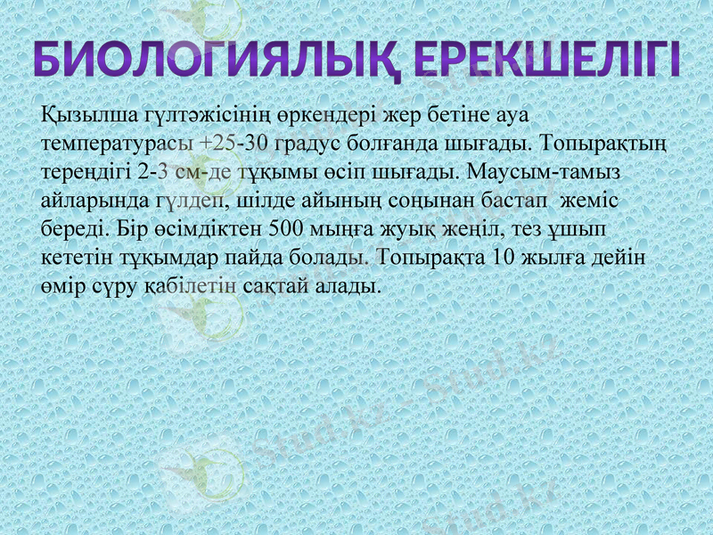 Slide 7