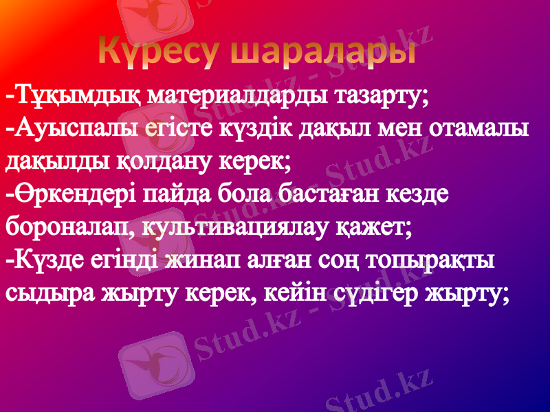 Slide 8