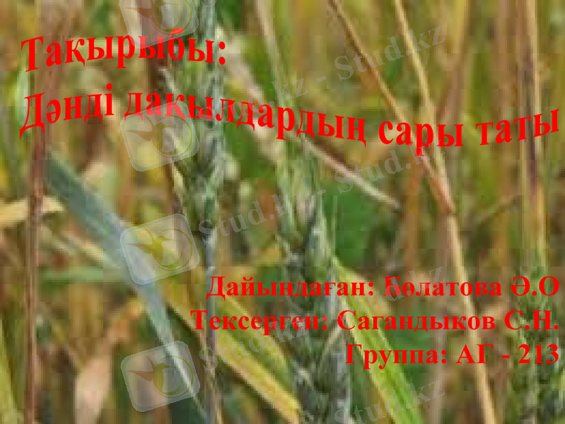 Slide 1