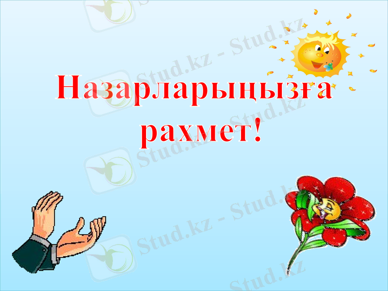 Slide 11