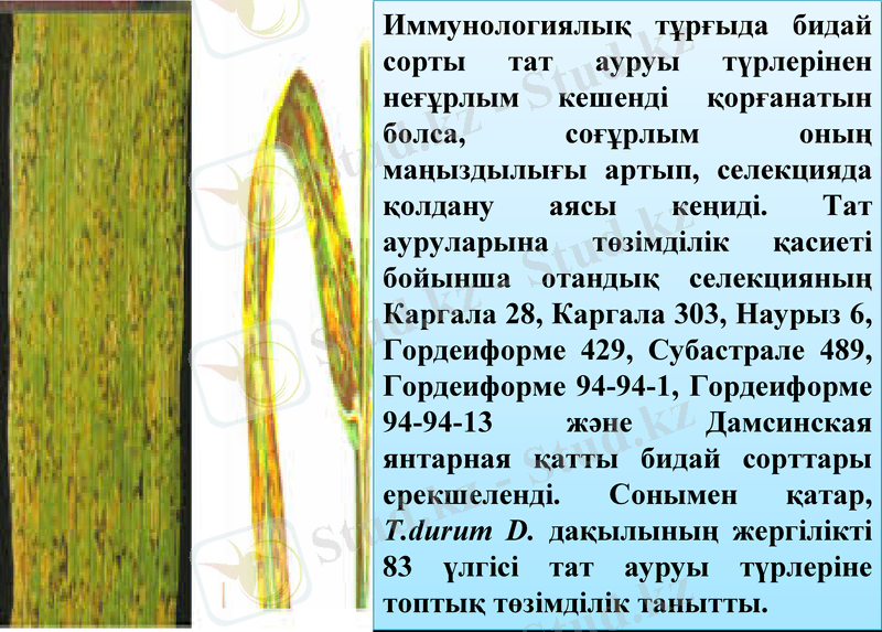 Slide 7