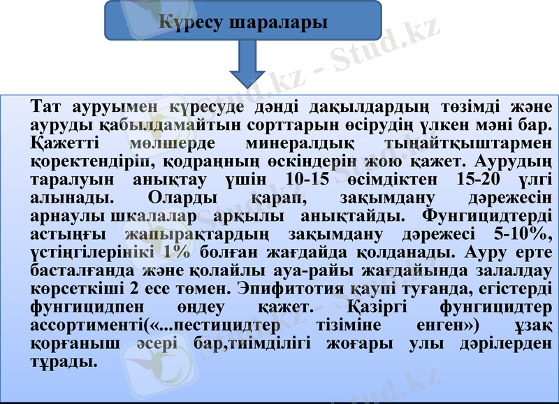 Slide 9