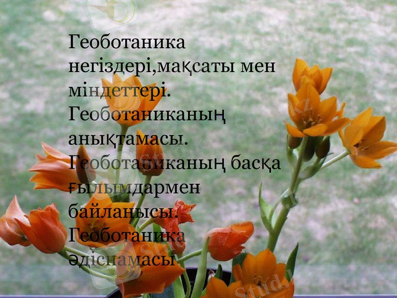 Slide 1