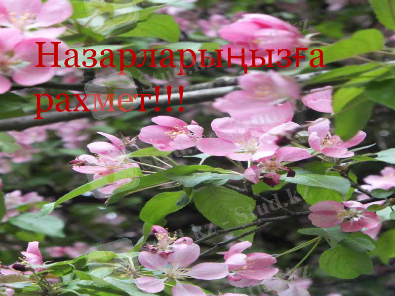 Slide 10