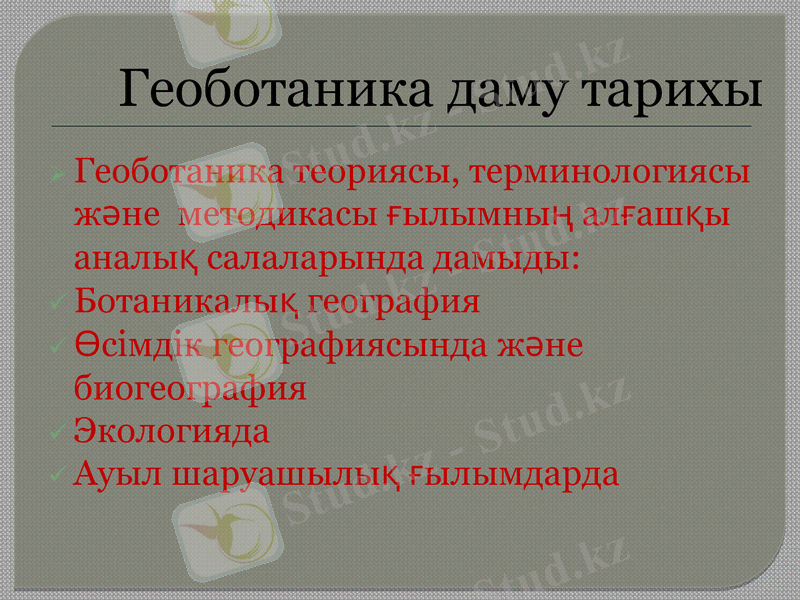 Slide 7