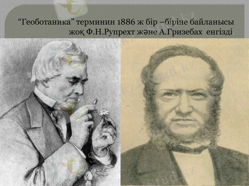Slide 8