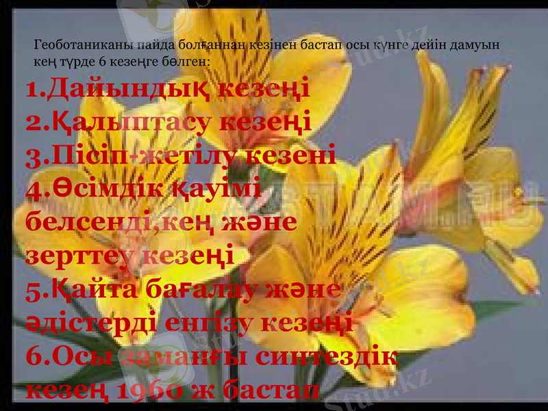 Slide 9