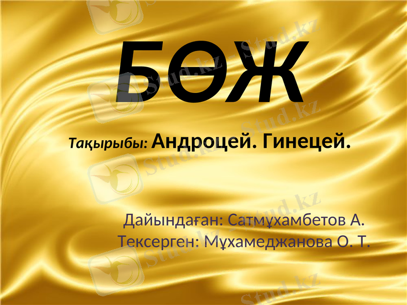 Slide 1