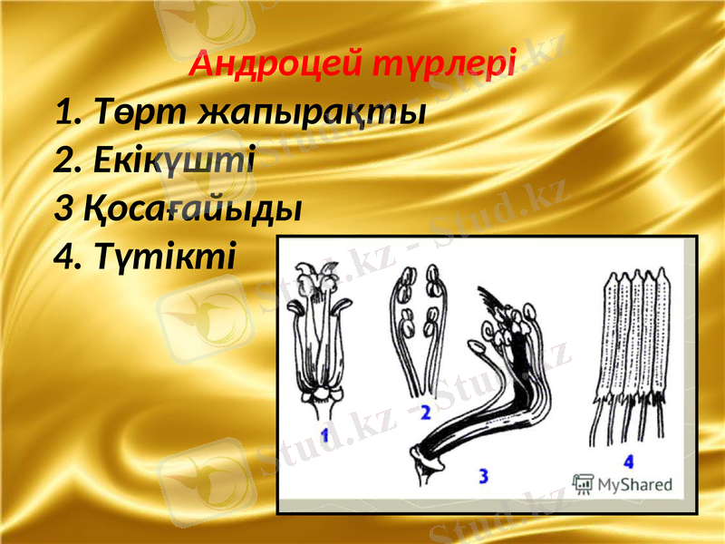 Slide 5