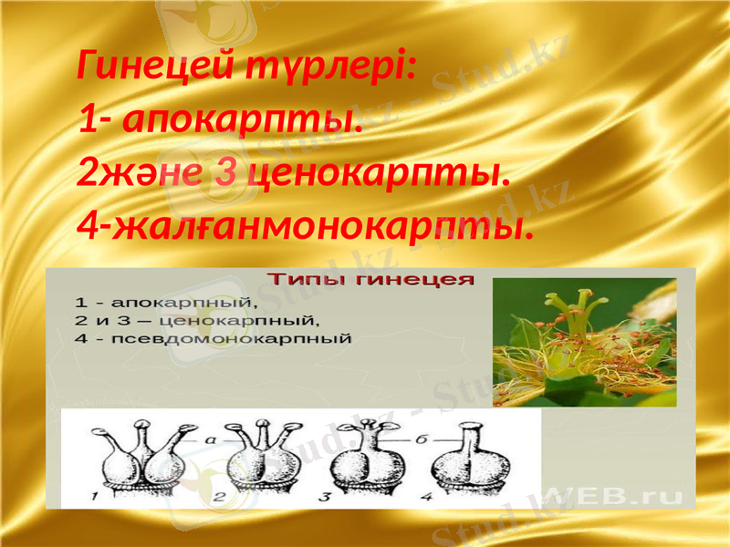Slide 7