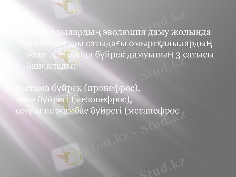 Slide 10