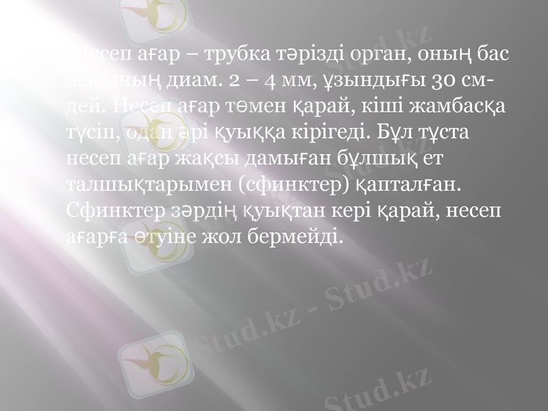 Slide 11