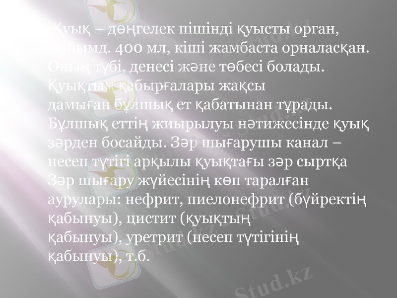 Slide 12