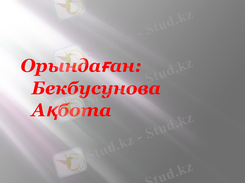 Slide 13