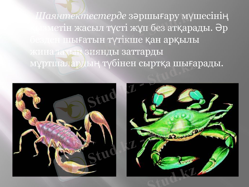 Slide 5