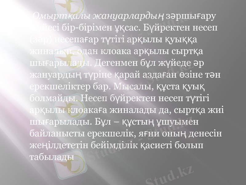 Slide 7