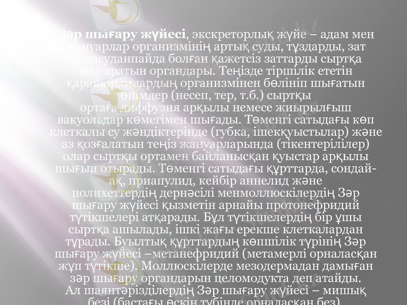 Slide 8