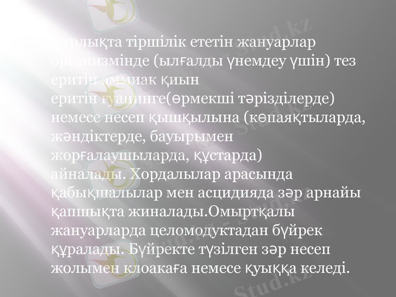Slide 9