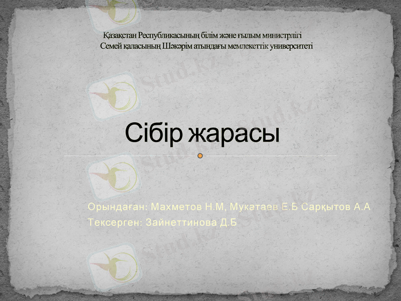 Slide 1
