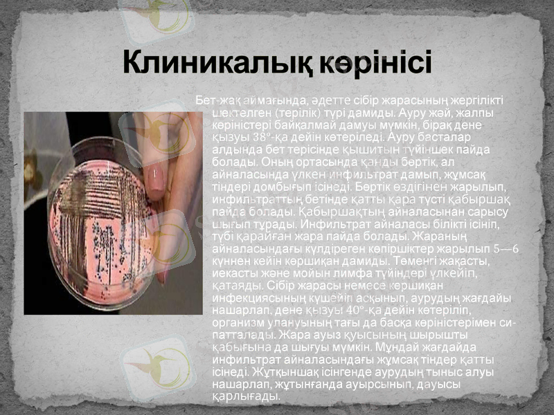 Slide 6