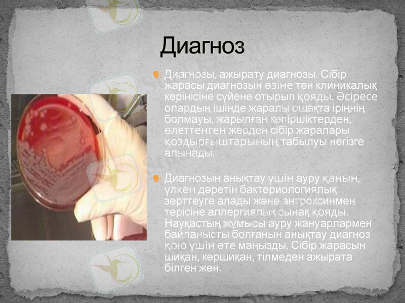 Slide 7