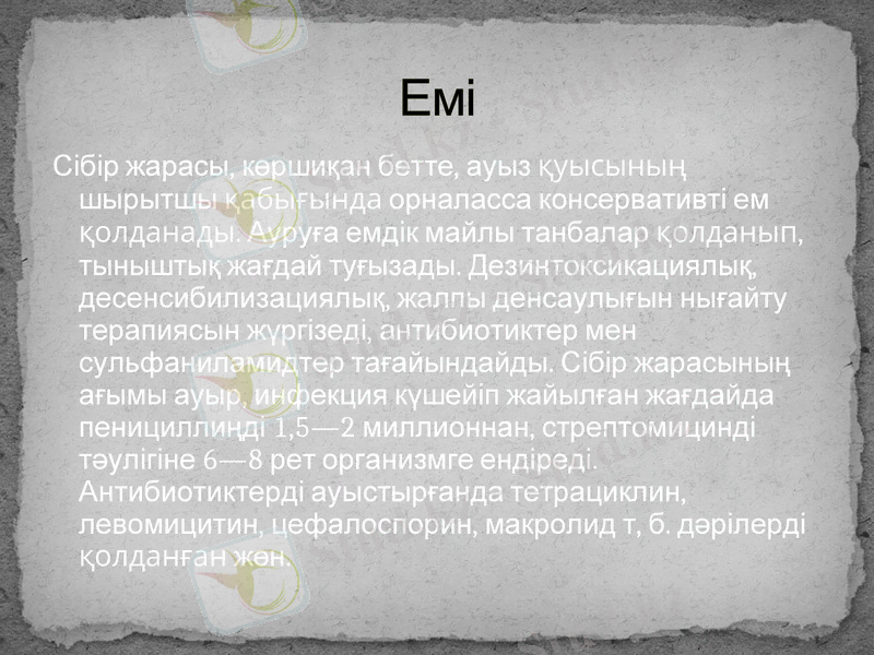 Slide 9