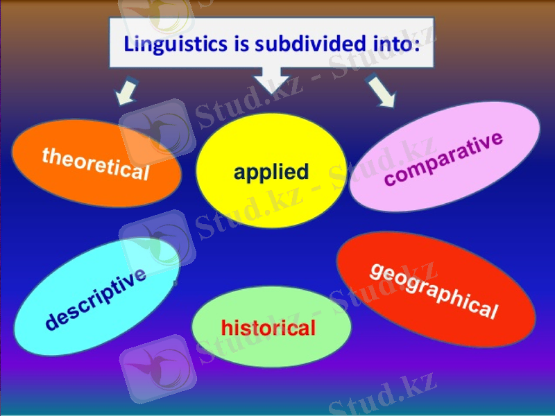 Slide 6
