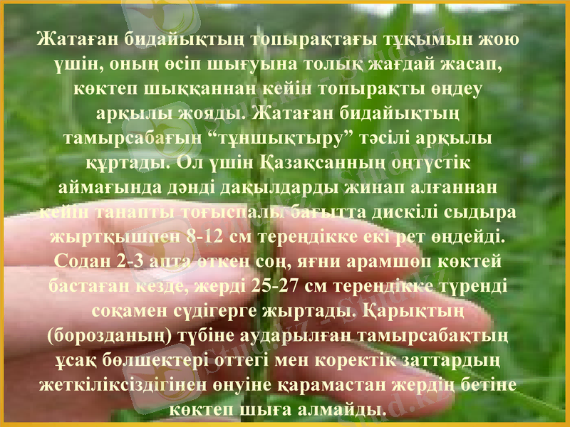 Slide 10