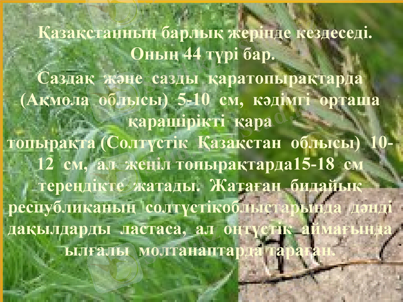 Slide 12