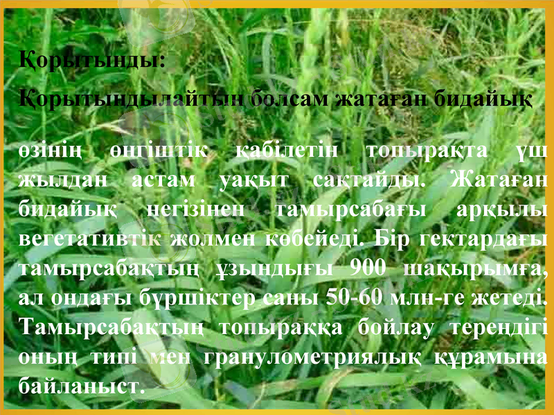Slide 13