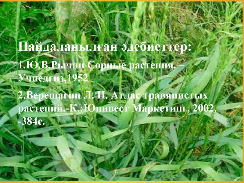 Slide 14