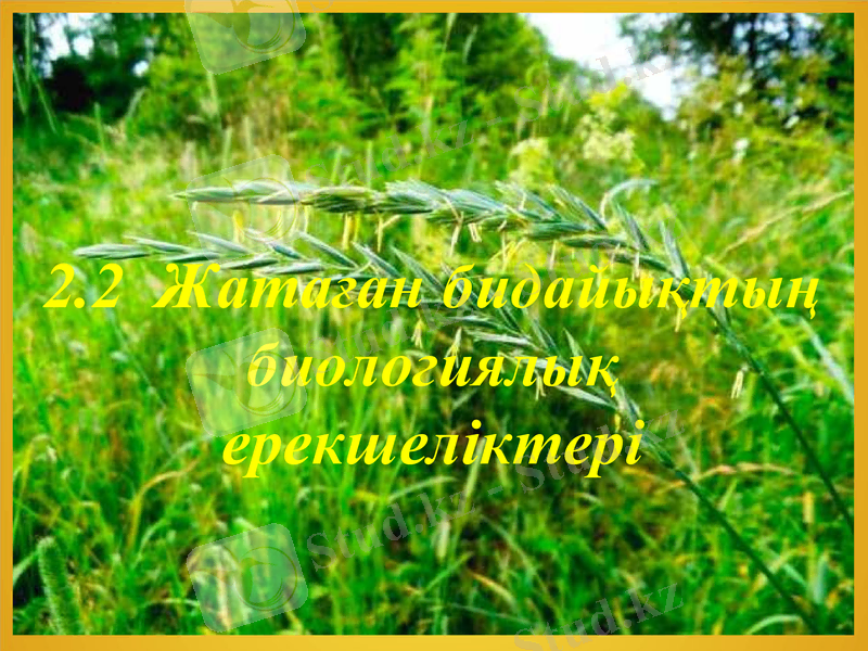 Slide 7