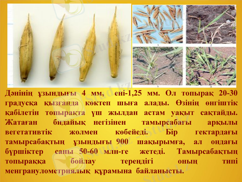 Slide 8
