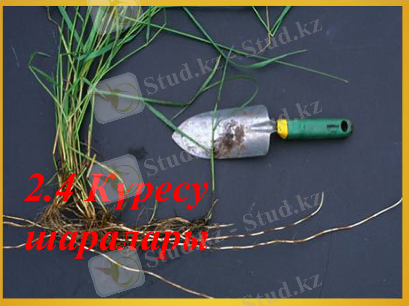 Slide 9