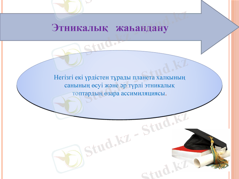 Slide 9