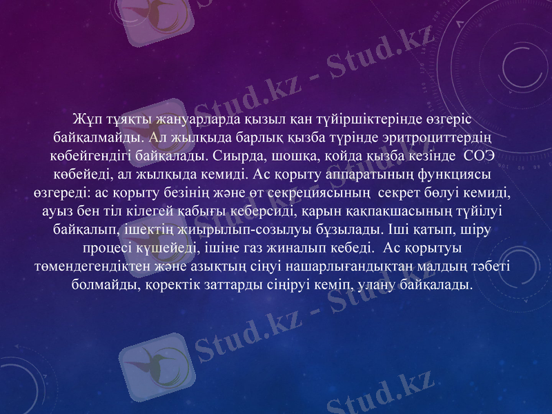 Slide 10