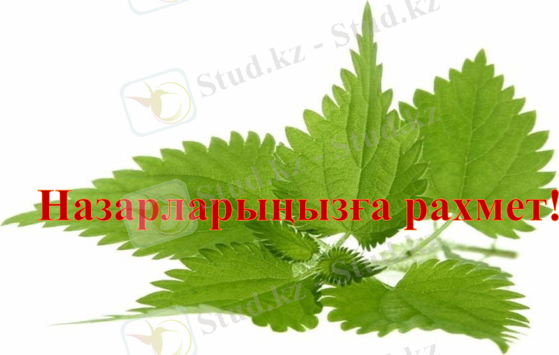 Slide 15