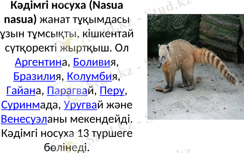Slide 12