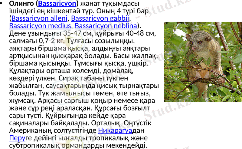 Slide 13