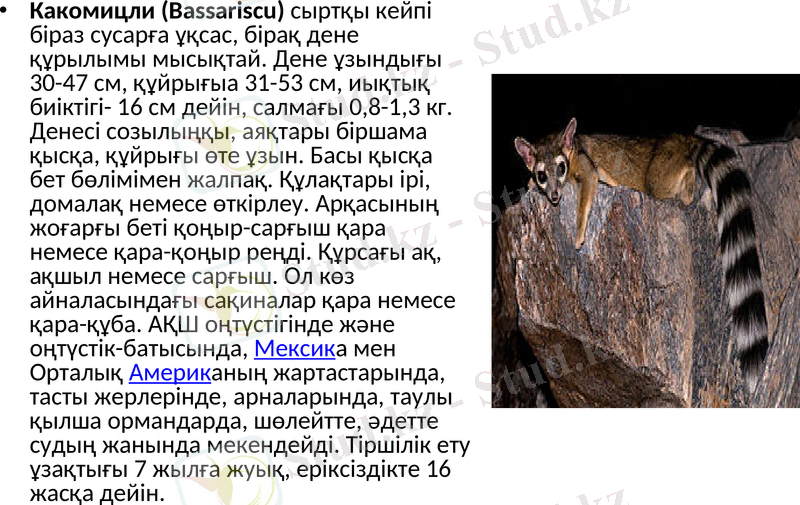 Slide 15