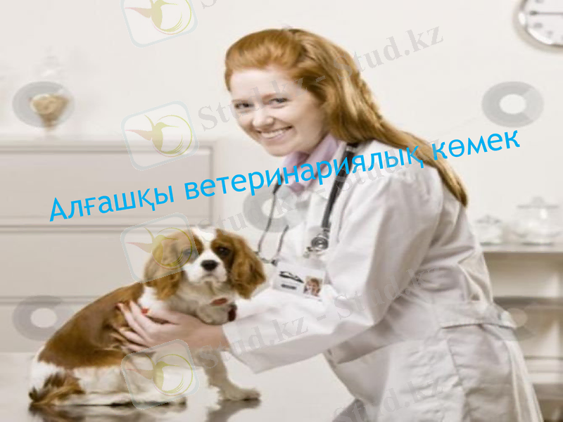 Slide 10