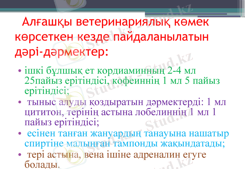 Slide 12