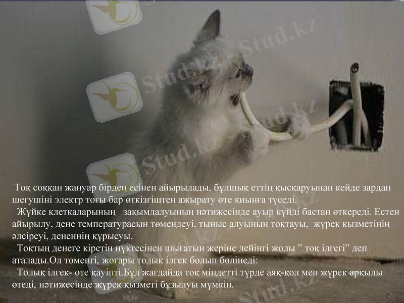 Slide 7