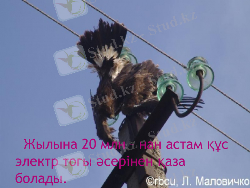 Slide 9